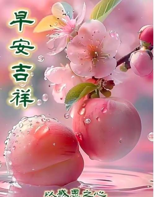 哪些花寓意幸福、幸运和平安？