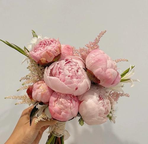 粉色绣球手捧花代表什么意义？