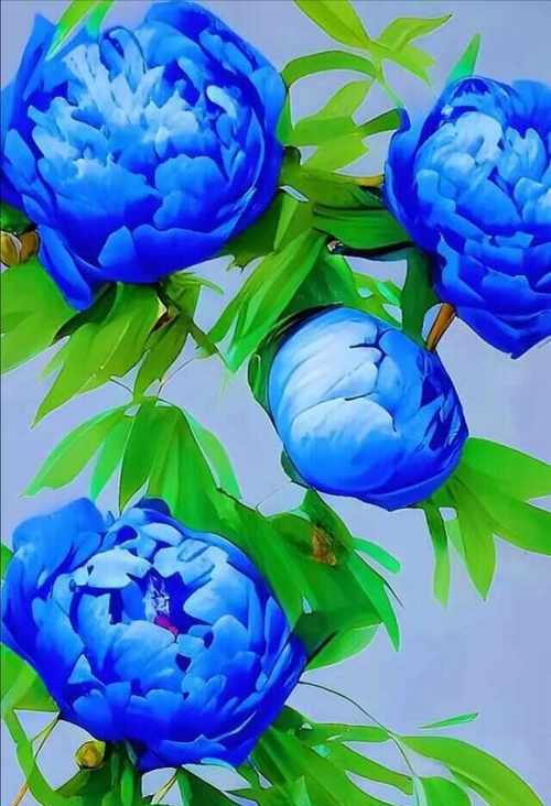 两朵蓝色花意味着什么？蓝色花的特殊寓意是什么？