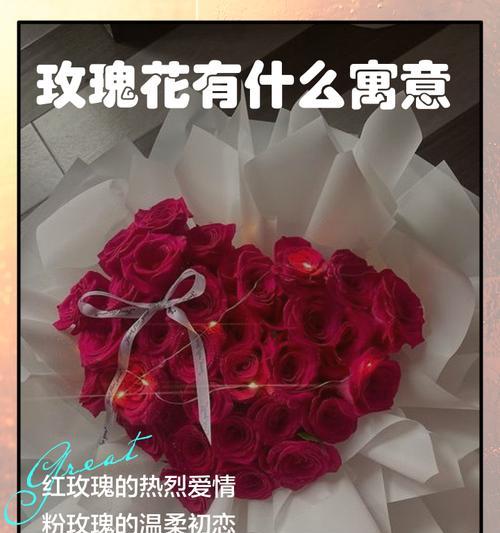 玫瑰花几只代表什么？不同颜色的寓意是什么？