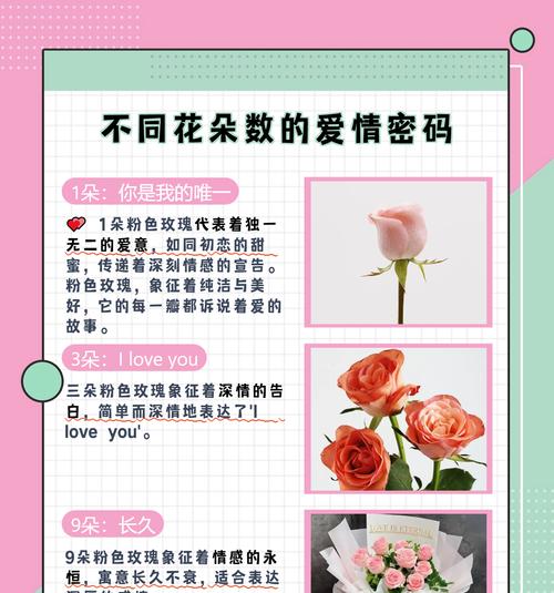 哪种花象征追求真挚爱情？它的花语是什么？