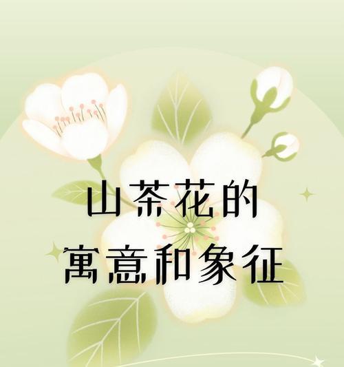 曼陀罗花色与寓意是什么？曼陀罗的象征意义。092