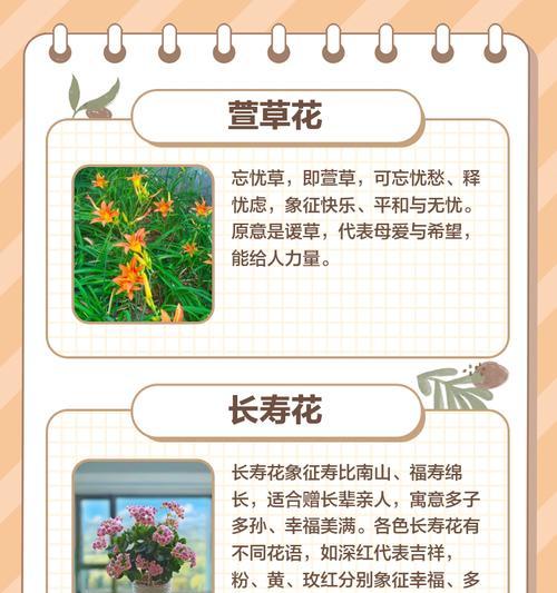 给父母送手捧花有何意义？它们在家庭中象征着什么？