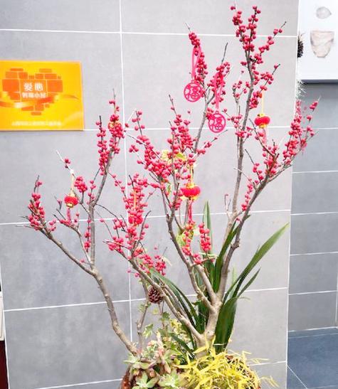 春节最有象征意义的花是什么？春节花的寓意是什么？