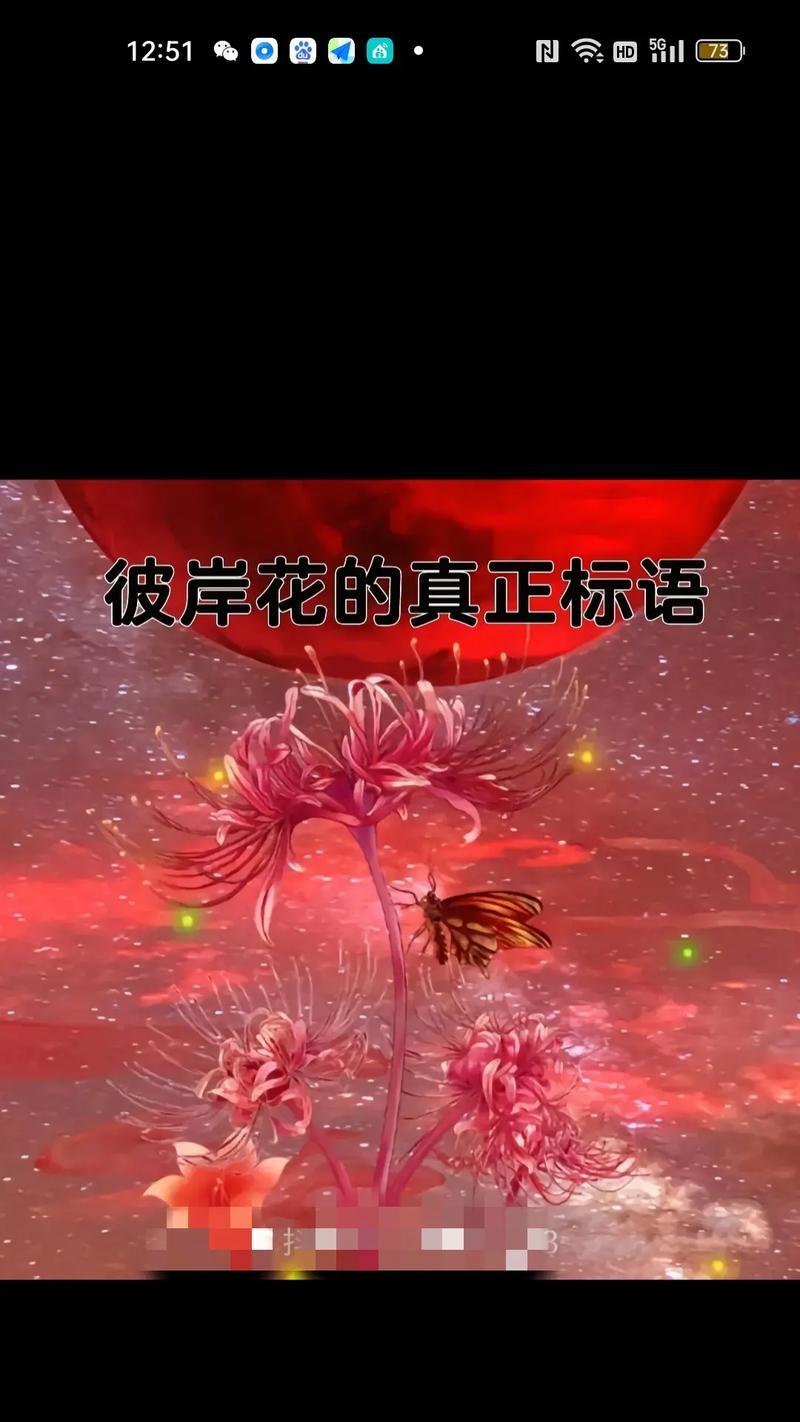 深处爱情的花语是什么？