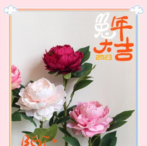 城市节日摆花的寓意有哪些？如何布置节日花卉？