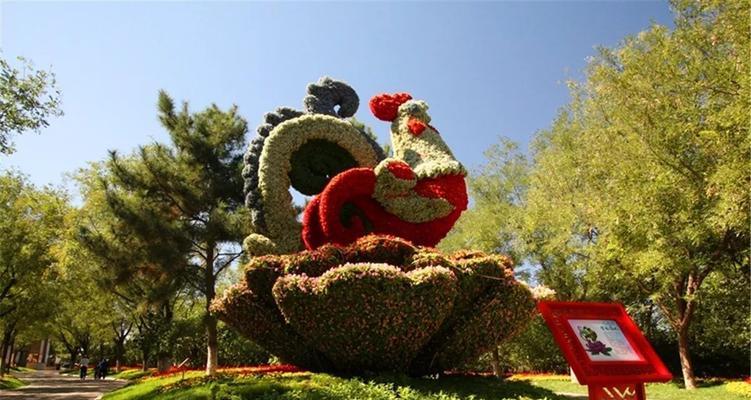 城市节日摆花的寓意有哪些？如何布置节日花卉？