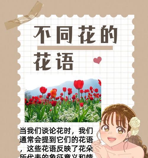 哪种花代表爱情的寓意？爱情花语有哪些？