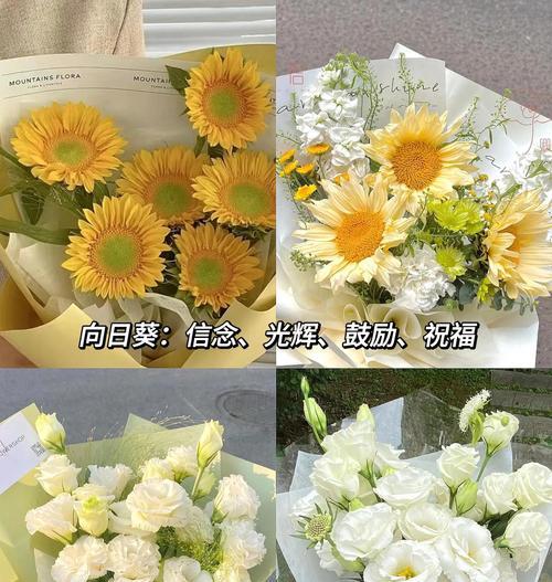 教师节送什么花最有意义？