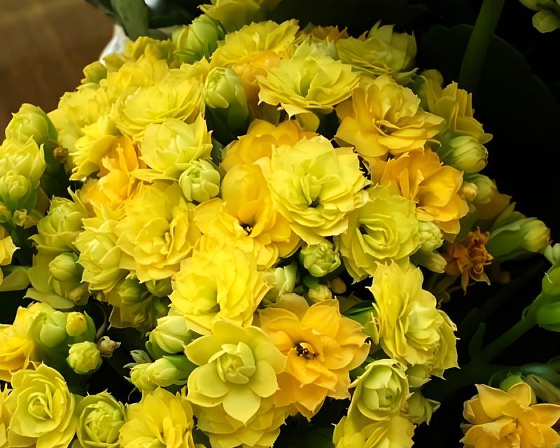 春节用花的意义是什么？春节花的寓意有哪些？