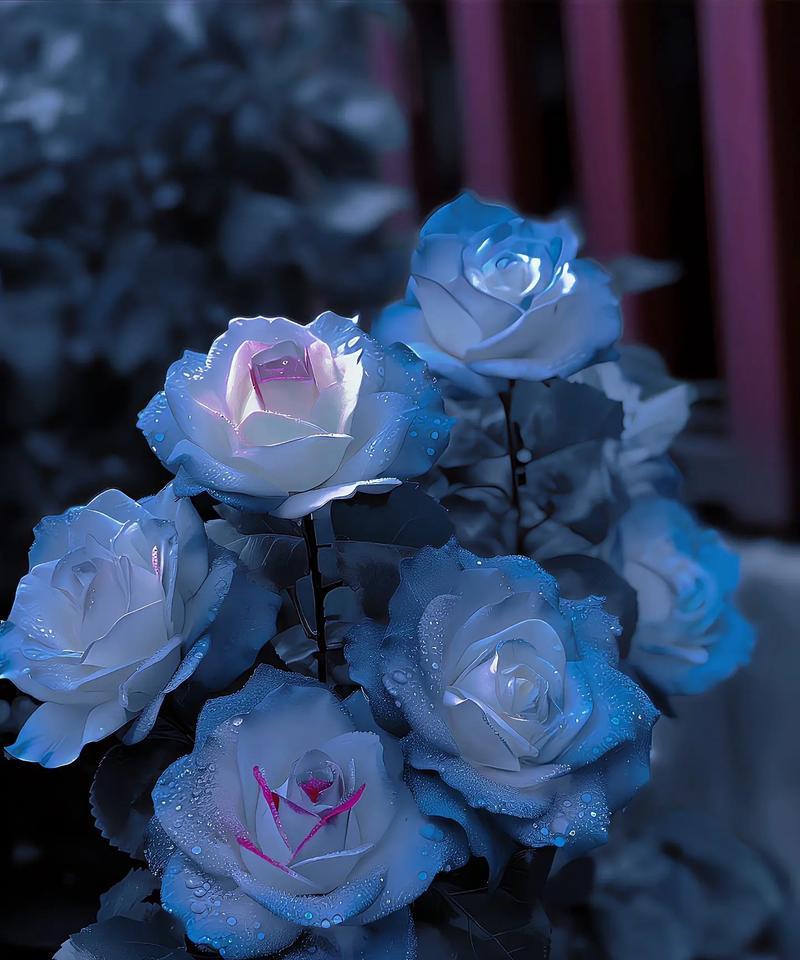 抽奖时送什么花祝福？抽奖祝福花语有哪些选择？