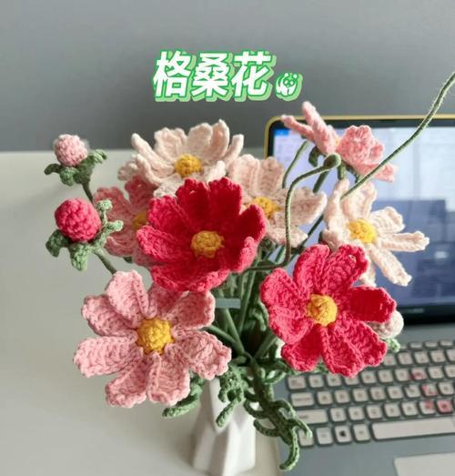 格桑花代表幸福吗？幸福格桑花的寓意是什么？