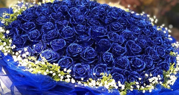 三朵蓝色玫瑰代表什么？三朵蓝色玫瑰花的寓意是什么？