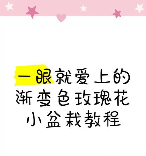 渐变色花朵有何特别意义？花的颜色变化代表什么？