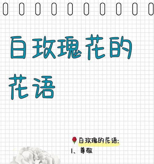 玫瑰花在哪些场合有特殊寓意？