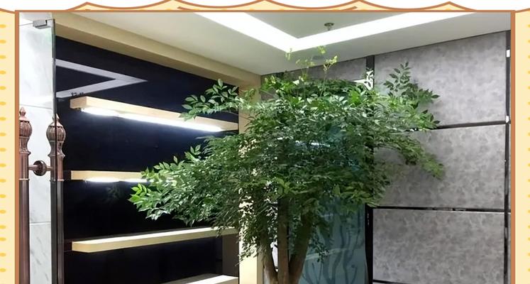 富贵花的意义是什么？如何在家居装饰中应用？