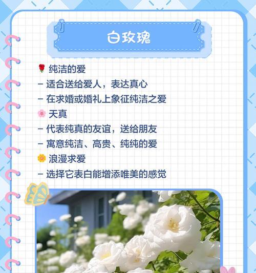 哪些花象征爱情？它们的花语有哪些？