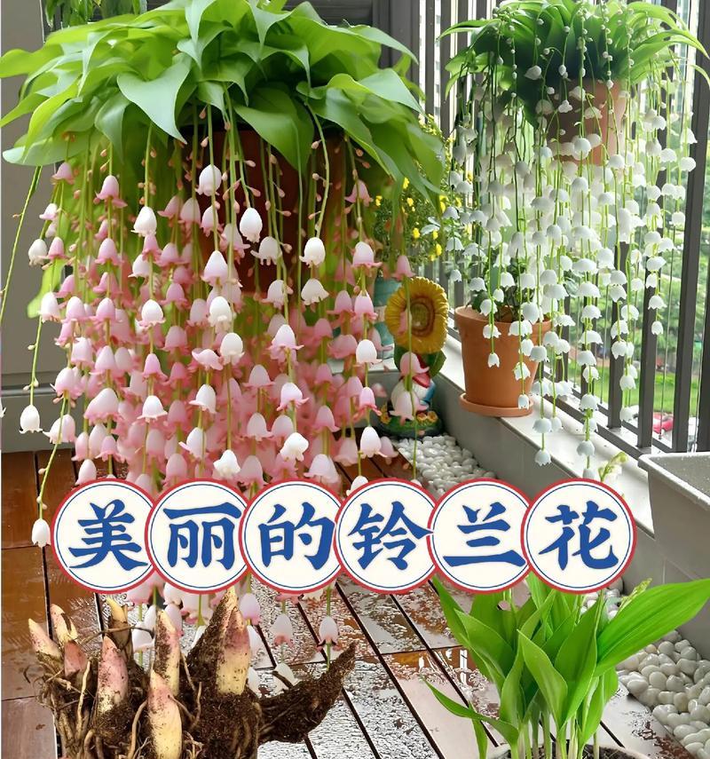 每个季节象征着哪些花？它们的寓意分别是什么？