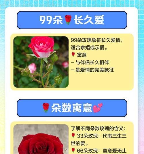 玫瑰花的颜色和朵数有什么含义？