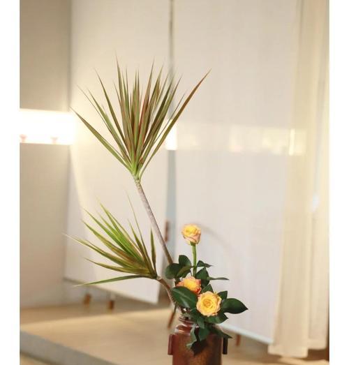 象征爱情的花有哪些雅称？这些雅称代表了什么意义？
