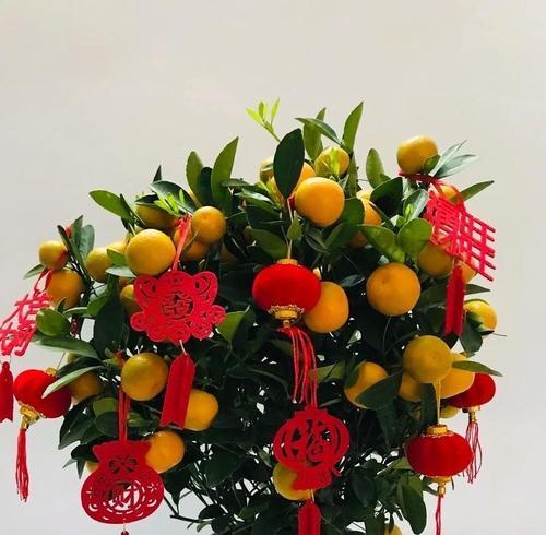 哪种花寓意平安吉祥？平安寓意花卉有哪些？