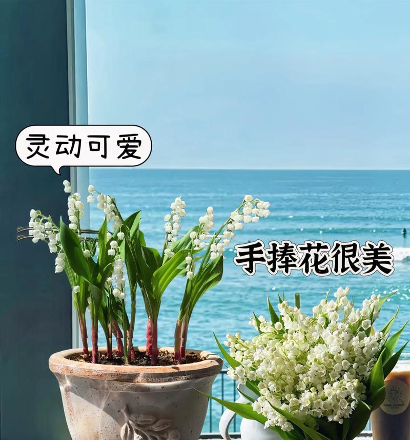 表姐送的手捧花有何寓意？它的花语是什么？