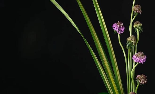 花艺文化流派的意义是什么？如何影响现代花艺设计？