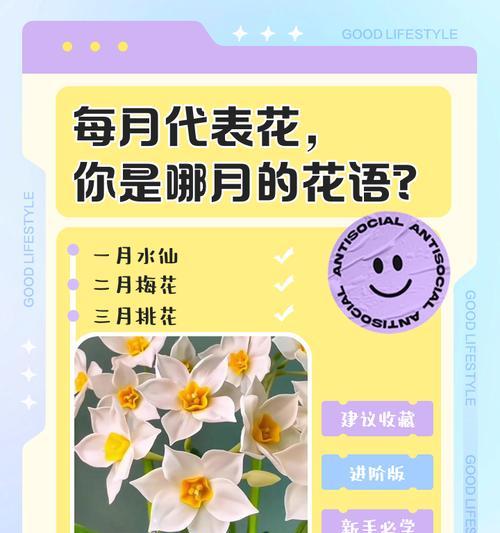 377这个数字与爱情花语有何关联？它代表了哪种花？