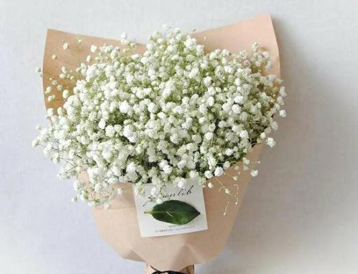 白色花的含义是什么？白色花代表了哪些情感？