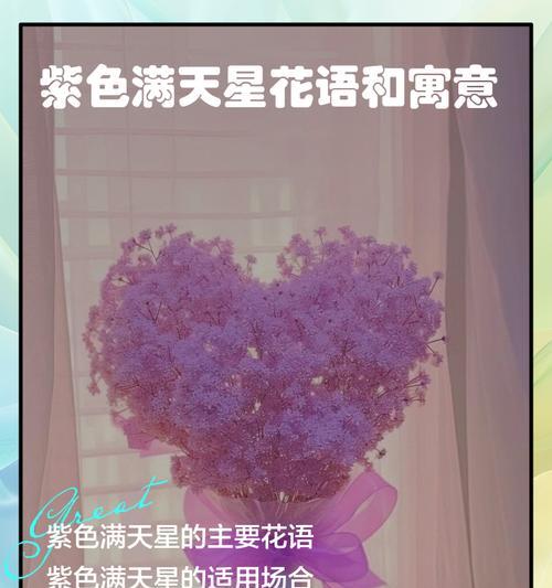 紫色玫瑰花的花语寓意是什么？它象征着什么？
