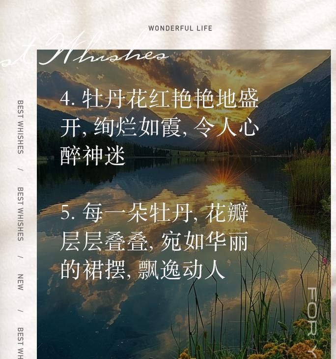 牡丹花的不同颜色代表什么含义？