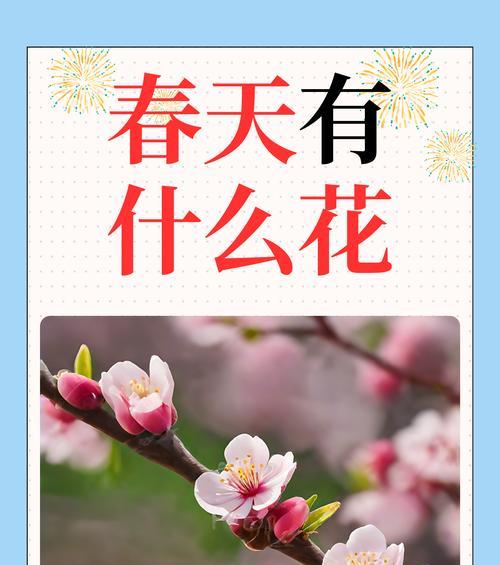 雾里花的创作背景是什么？它有何深层意义？