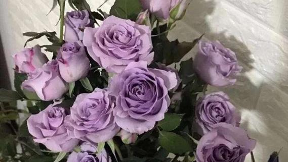 紫色手捧假花代表什么？它们在花语中象征着什么？