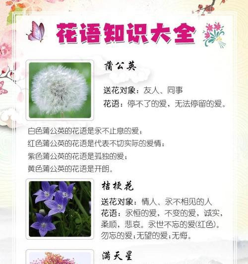古代传统花语有哪些？