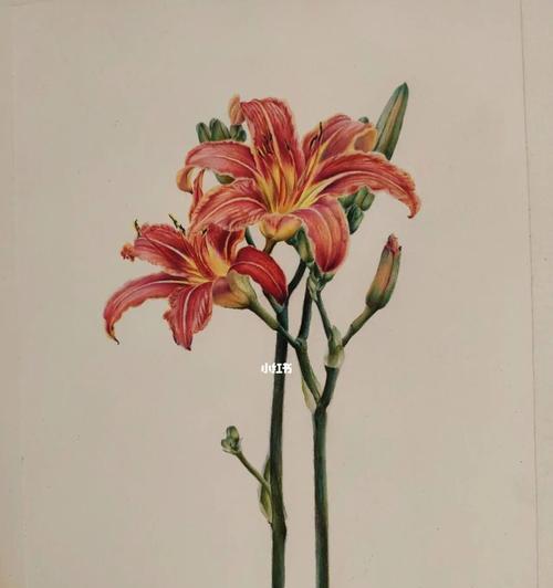 萱草花的创作背景是什么？它的意义何在？