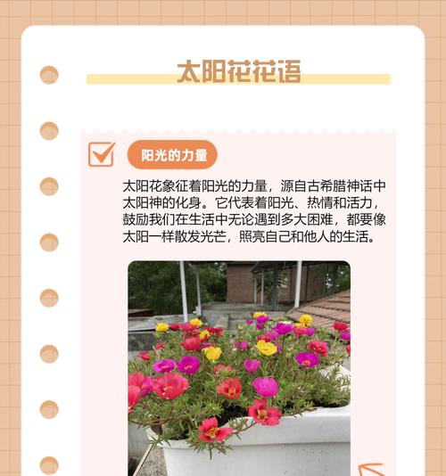 太阳花节有什么寓意？太阳花节的象征意义是什么？