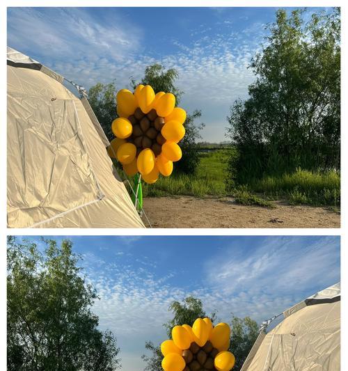 太阳花节有什么寓意？太阳花节的象征意义是什么？