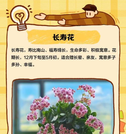 爷爷送手捧花的寓意是什么？长辈送花的特殊含义是什么？