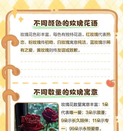 花数量代表的爱情含义是什么？不同数量的花在爱情中的象征意义是什么？