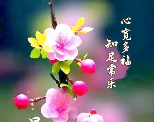 哪种花象征祝福与欢乐？用什么花来传递祝福和欢乐？