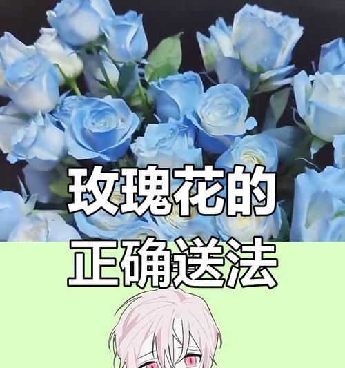 玫瑰花颜色代表什么？不同颜色玫瑰的意义是什么？