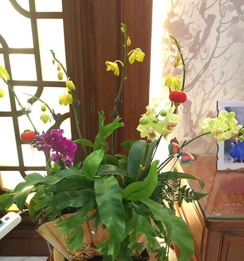 春节摆放什么花大气？春节摆花的寓意是什么？