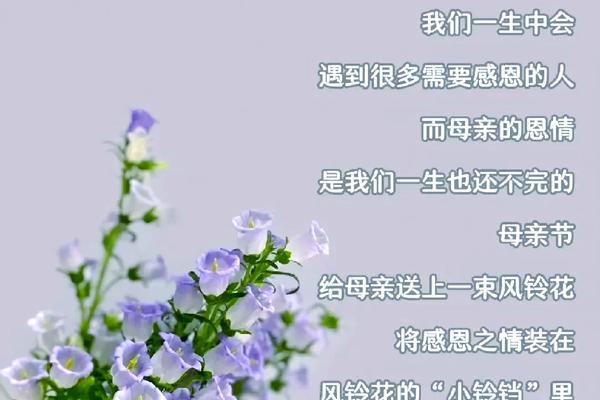 母亲节不送花更有意义吗？为什么？