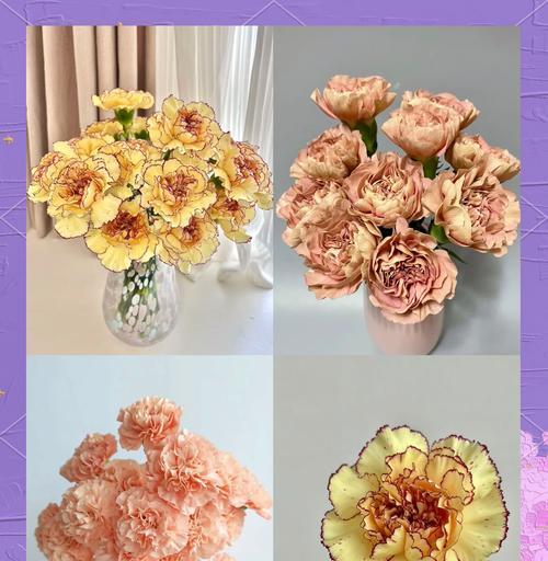母亲节不送花更有意义吗？为什么？