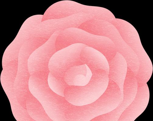彩色的花朵含义是什么花？多彩花卉代表哪些情感？