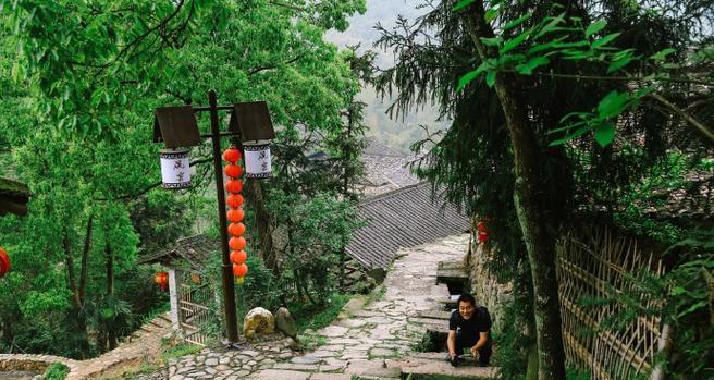 苍南山里白色花的含义是什么？