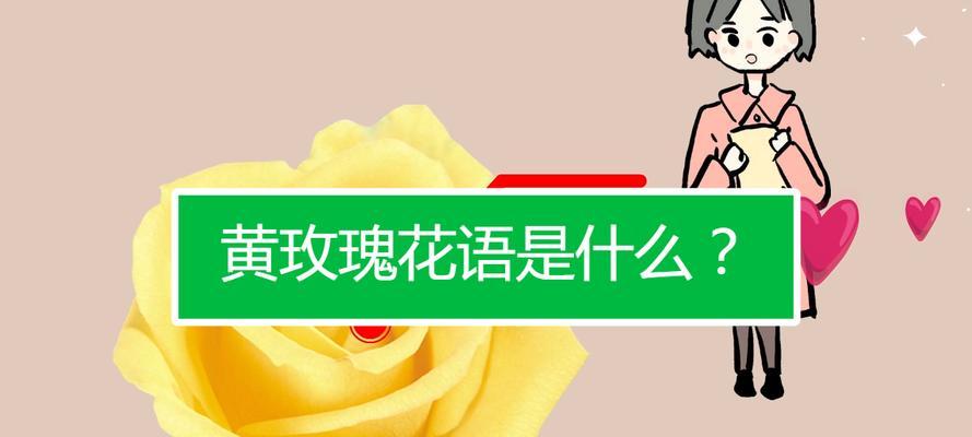 黄色花的含义是什么？它代表了哪些花语？
