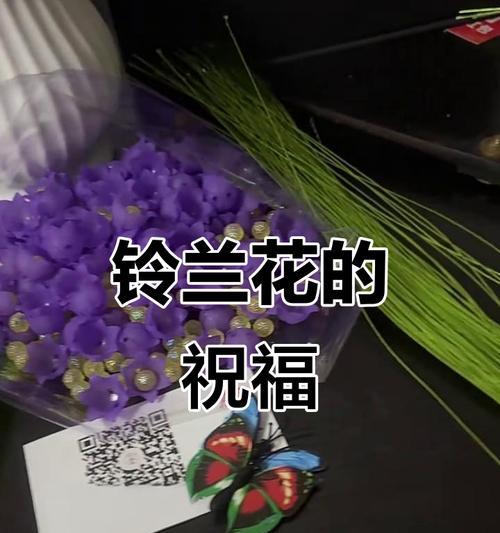 哪些花寓意爱情幸福长久？
