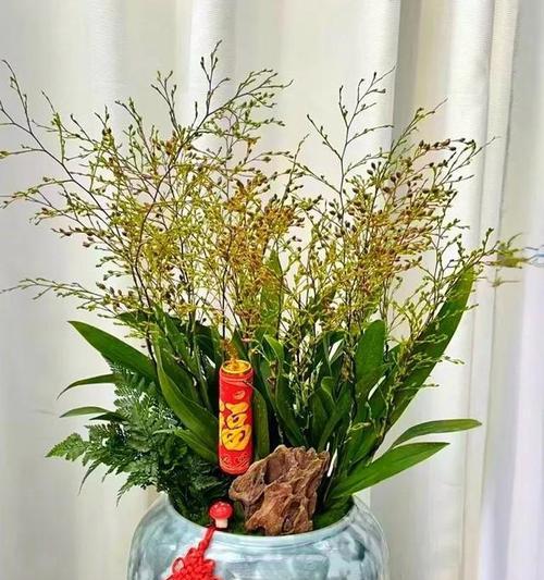 客厅摆放哪些花能带来好运？寓意是什么？