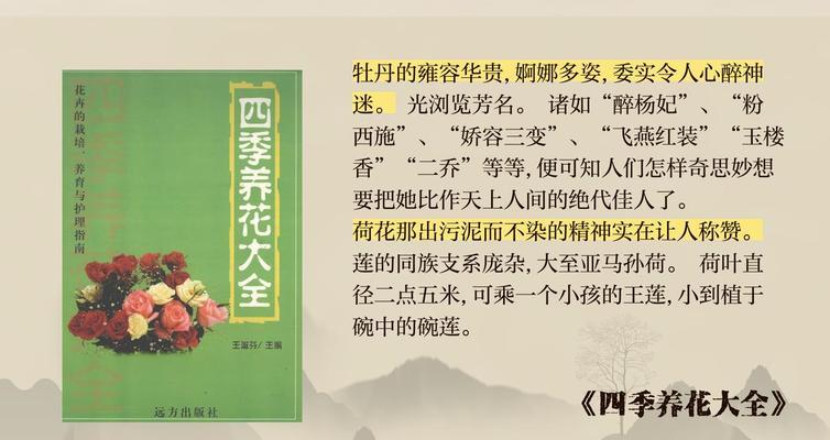 送老人几支花有何含义？它代表了什么？